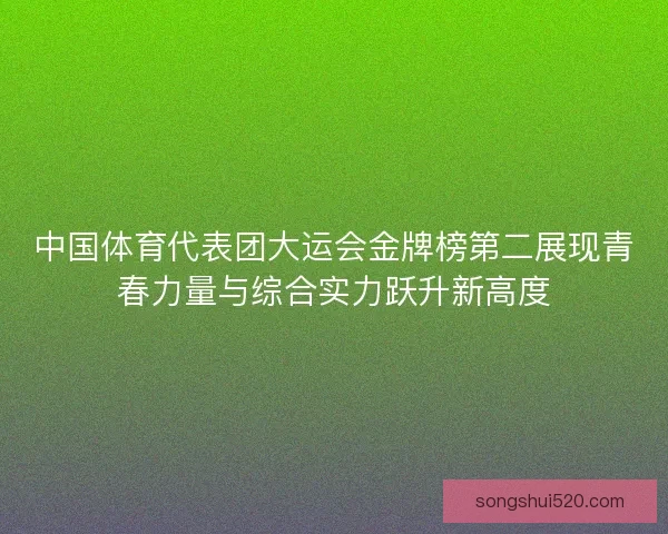 中国体育代表团大运会金牌榜第二展现青春力量与综合实力跃升新高度