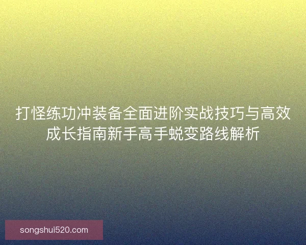 打怪练功冲装备全面进阶实战技巧与高效成长指南新手高手蜕变路线解析
