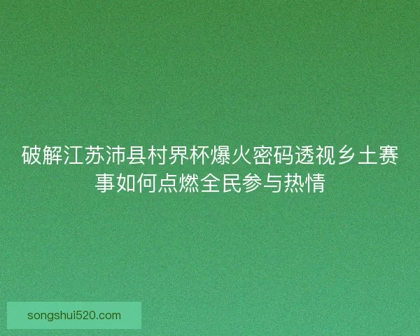 破解江苏沛县村界杯爆火密码透视乡土赛事如何点燃全民参与热情